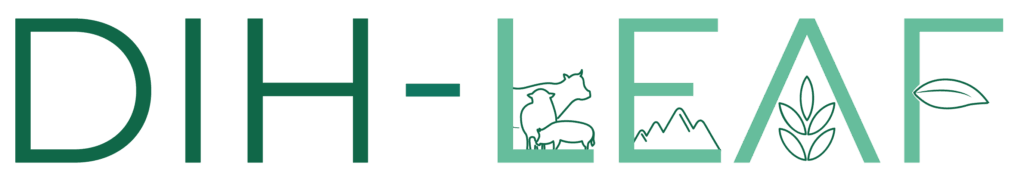 Logo-DIH-LEAF-copia-e1739878410714-1024x183